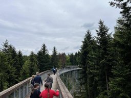 50401708711746171377995664687993566090763952n